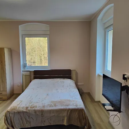 Apartment Pirken Hammer Brezova (Karlovy Vary)